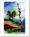 Hillside Birch Note Card from Original Watercolor Painting
